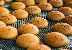 dog cookies baking on an oven rack